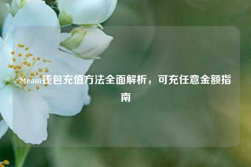 Steam钱包充值方法全面解析,可充任意金额指南