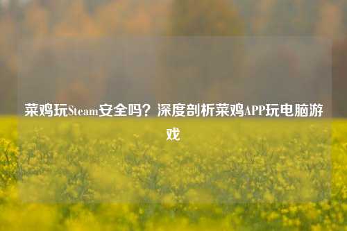 菜鸡玩Steam安全吗？深度剖析菜鸡APP玩电脑游戏