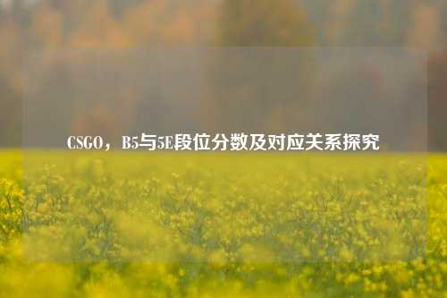 CSGO,B5与5E段位分数及对应关系探究