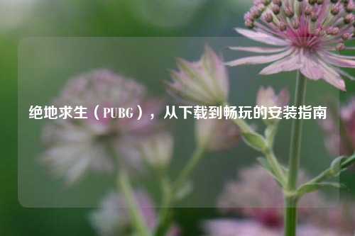 绝地求生（PUBG），从下载到畅玩的安装指南