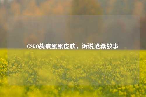 CSGO战痕累累皮肤,诉说沧桑故事