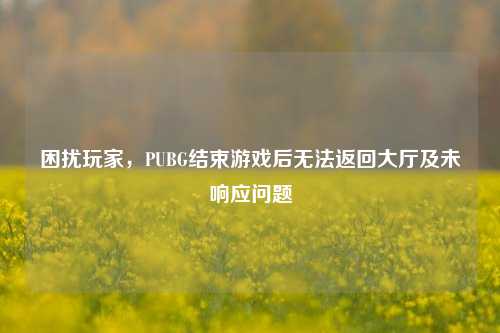 困扰玩家,PUBG结束游戏后无法返回大厅及未响应问题