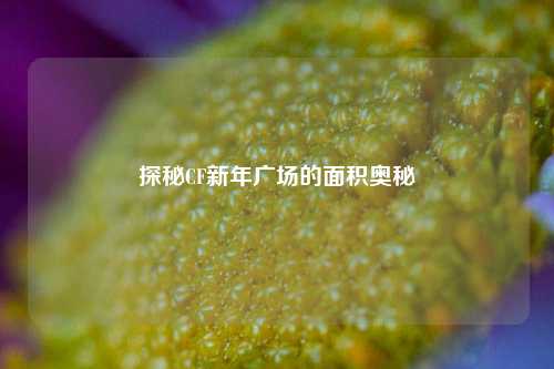 探秘CF新年广场的面积奥秘