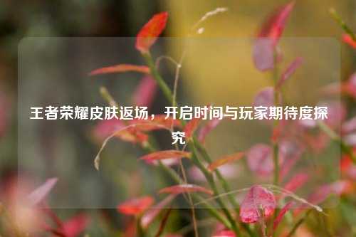 王者荣耀皮肤返场,开启时间与玩家期待度探究