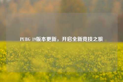 PUBG 19版本更新，开启全新竞技之旅
