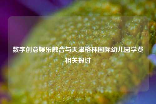 数字创意娱乐融合与天津格林国际幼儿园学费相关探讨