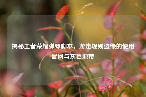揭秘王者荣耀弹琴脚本,游走规则边缘的使用疑问与灰色地带