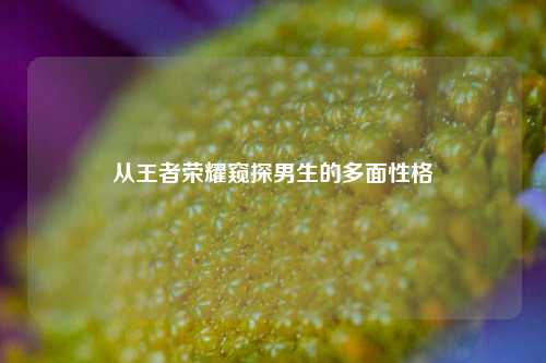 从王者荣耀窥探男生的多面性格