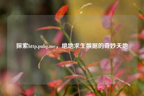 探索http.pubg.me，绝地求生数据的奇妙天地