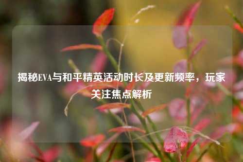 揭秘EVA与和平精英活动时长及更新频率，玩家关注焦点解析