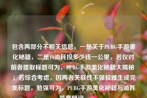 包含两部分不相关信息，一是关于PUBG手游美化秘籍，二是14油耗投多少钱一公里，若仅对前者提取标题可为，PUBG手游美化秘籍大揭秘 ；若综合考虑，因两者关联性不强较难生成完美标题，勉强可为，PUBG手游美化秘籍与油耗花费疑问 。