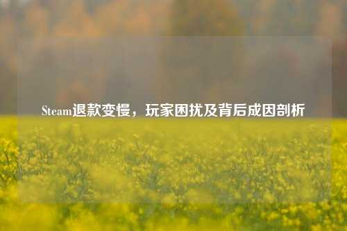 Steam退款变慢，玩家困扰及背后成因剖析