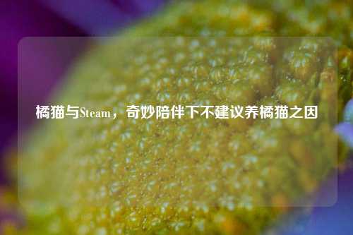 橘猫与Steam，奇妙陪伴下不建议养橘猫之因