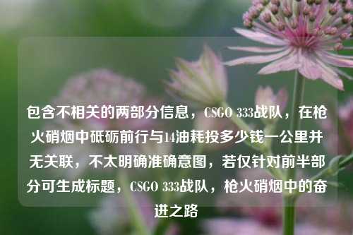 包含不相关的两部分信息,CSGO 333战队,在枪火硝烟中砥砺前行与14油耗投多少钱一公里并无关联,不太明确准确意图,若仅针对前半部分可生成标题,CSGO 333战队,枪火硝烟中的奋进之路