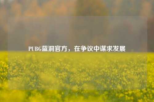 PUBG蓝洞官方,在争议中谋求发展