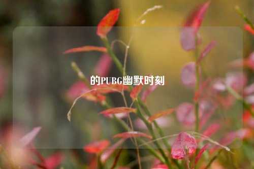 的PUBG幽默时刻