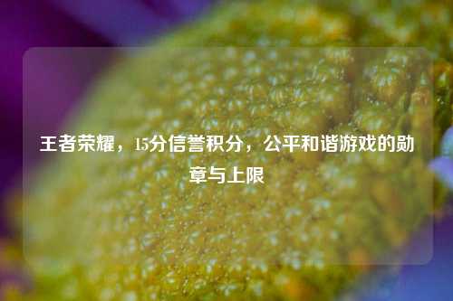 王者荣耀,15分信誉积分,公平和谐游戏的勋章与上限