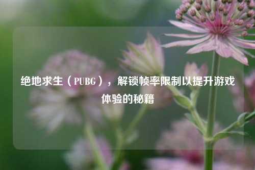 绝地求生(PUBG),解锁帧率限制以提升游戏体验的秘籍