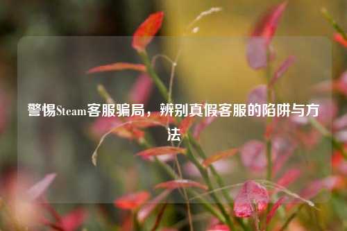警惕Steam客服骗局,辨别真假客服的陷阱与方法