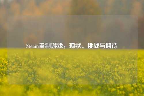 Steam重制游戏，现状、挑战与期待