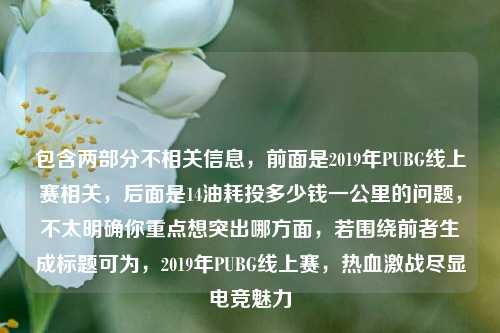 包含两部分不相关信息，前面是2019年PUBG线上赛相关，后面是14油耗投多少钱一公里的问题，不太明确你重点想突出哪方面，若围绕前者生成标题可为，2019年PUBG线上赛，热血激战尽显电竞魅力