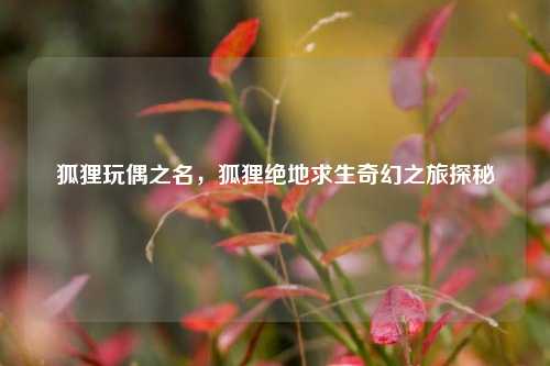 狐狸玩偶之名，狐狸绝地求生奇幻之旅探秘