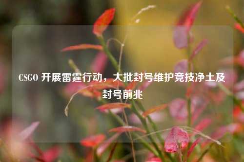 CSGO 开展雷霆行动,大批封号维护竞技净土及封号前兆