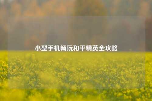 小型手机畅玩和平精英全攻略