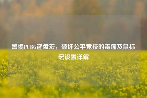 警惕PUBG键盘宏,破坏公平竞技的毒瘤及鼠标宏设置详解