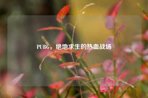 PUBG，绝地求生的热血战场