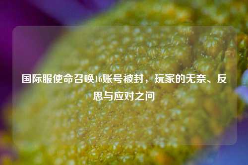 国际服使命召唤16账号被封,玩家的无奈、反思与应对之问