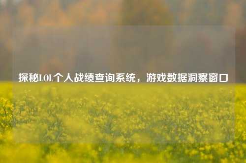 探秘LOL个人战绩查询系统,游戏数据洞察窗口