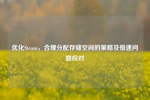 优化Steam，合理分配存储空间的策略及慢速问题应对
