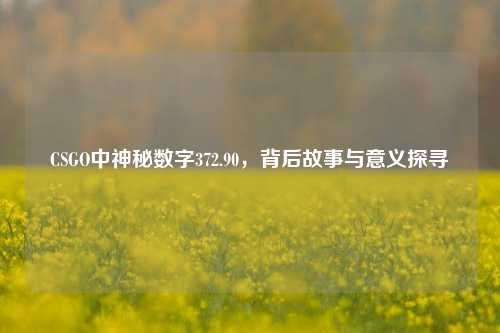 CSGO中神秘数字372.90,背后故事与意义探寻