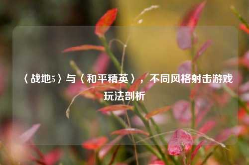〈战地5〉与〈和平精英〉，不同风格射击游戏玩法剖析