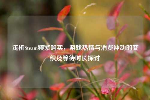 浅析Steam频繁购买，游戏热情与消费冲动的交织及等待时长探讨