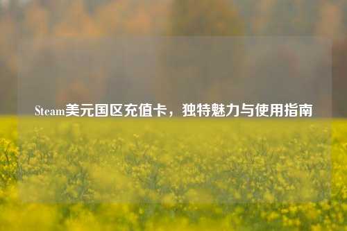 Steam美元国区充值卡，独特魅力与使用指南