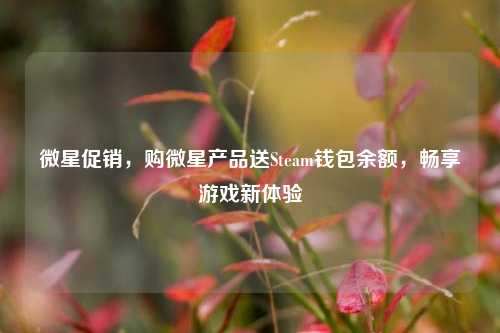微星促销，购微星产品送Steam钱包余额，畅享游戏新体验