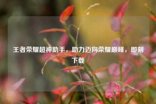 王者荣耀超神助手,助力迈向荣耀巅峰,即刻下载