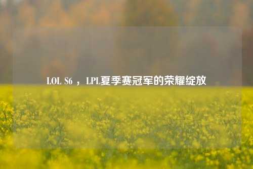 LOL S6 ，LPL夏季赛冠军的荣耀绽放