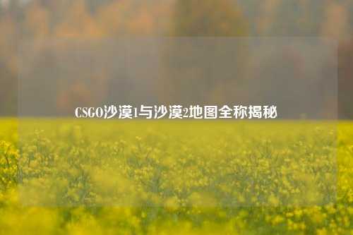 CSGO沙漠1与沙漠2地图全称揭秘