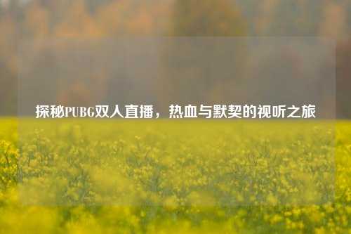 探秘PUBG双人直播,热血与默契的视听之旅