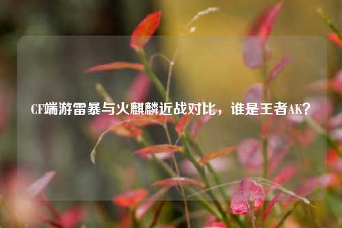 CF端游雷暴与火麒麟近战对比，谁是王者AK？