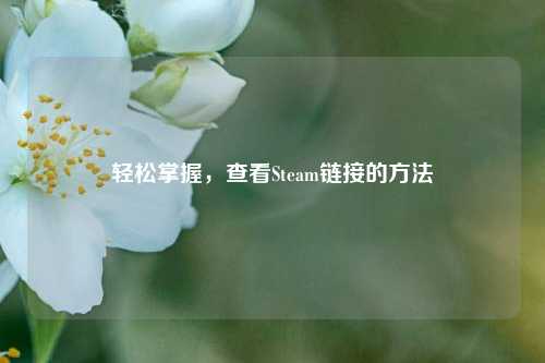 轻松掌握，查看Steam链接的方法