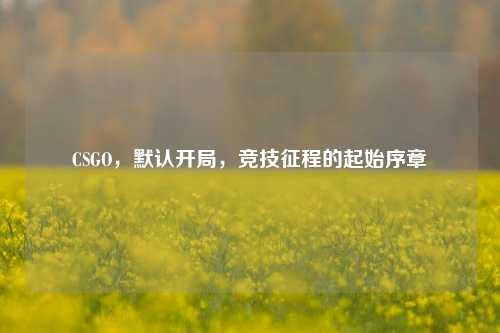 CSGO，默认开局，竞技征程的起始序章