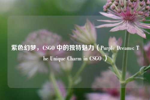 紫色幻梦，CSGO 中的独特魅力（Purple Dreams: The Unique Charm in CSGO ）