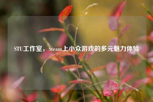 STU工作室，Steam上小众游戏的多元魅力体验