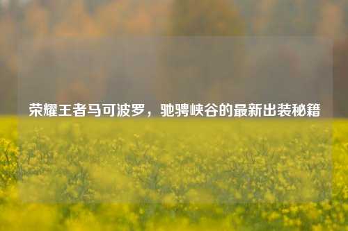 荣耀王者马可波罗，驰骋峡谷的最新出装秘籍
