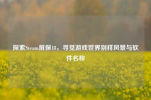 探索Steam屏保18，寻觅游戏世界别样风景与软件名称