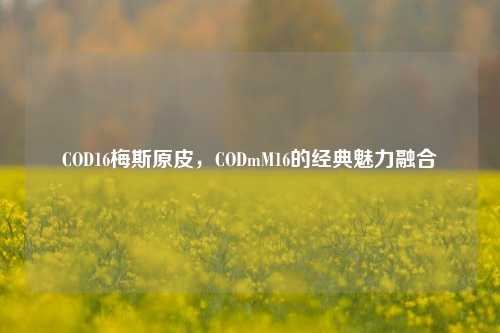 COD16梅斯原皮,CODmM16的经典魅力融合